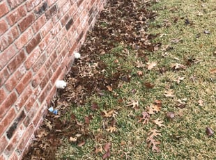 Leaf Removal by Juan Uribe for Patricia S. in Glenn Heights, TX