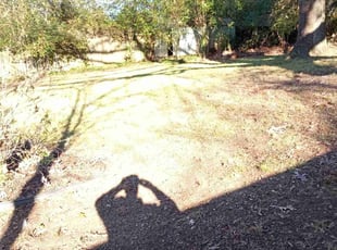 Leaf Removal by Steven Price for Jordan K. in Richmond, VA