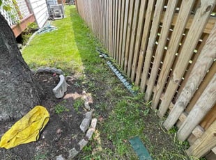 Cleanups by Fidel Rodriguez for Sarah I. in Arlington, VA