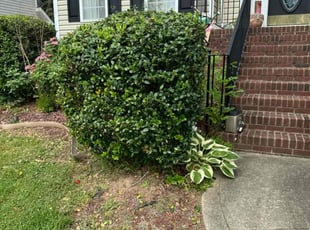 Bush Trimming by Erica Smedley for Frazier S. in Mount Holly, NC