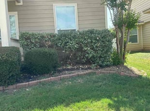 Weeding by Jesus Cepeda for Dean H. in Cedar Park, TX