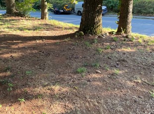 Leaf Removal by EL AllA-MuAmAd for Jessica C. in Charlotte, NC