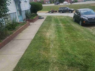 Cleanups by Christopher Coates for Joseph W. in Glenshaw, PA