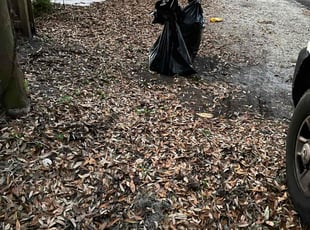 Leaf Removal by Rictoria Merrick for Ashley R. in Fernandina Beach, FL