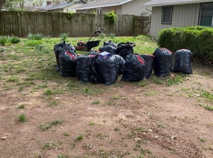 Cleanups by Brandon McDonald for Beth H. in Springfield, MO