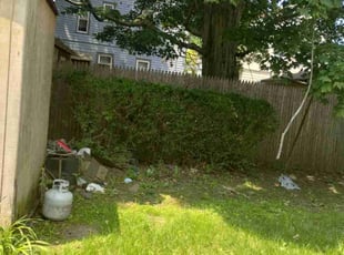 Denice S.'s Bush Trimming service result