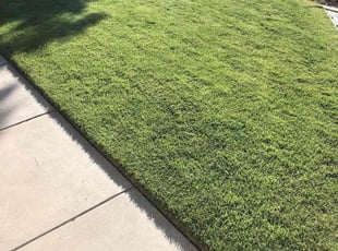Felicia D.'s Lawn Care service result