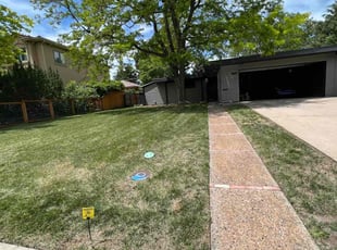 Cleanups by Jesse Nunez for Chelsea K. in Denver, CO