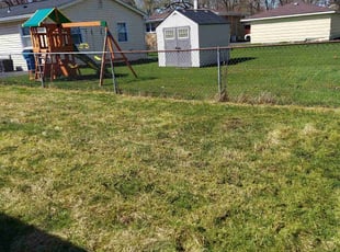 Leaf Removal by Cathey Hardy for Kandi R. in Steger, IL