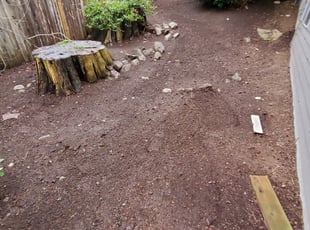 Leaf Removal by Coben Varland for Sriram C. in Bellevue, WA