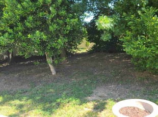 Leaf Removal by Gustavo Martinez for Edwin M. in Woodbridge, VA