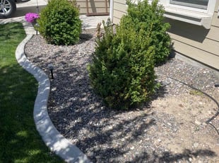 Weeding by Grayson Banks for Robert F. in Middleton, ID