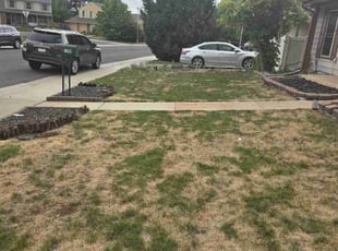 Leaf Removal by Laray Silz for Catherine L. in Aurora, CO