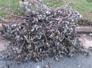 Cleanups by Daniel Midgett for Kimberly M. in Virginia Beach, VA