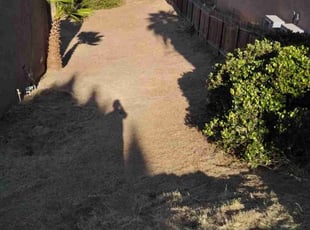 Cleanups by Sergio Castaneda for Trinity F. in Spring Valley, CA