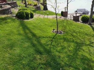 Lawrence S.'s Yard Cutting service result