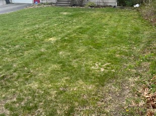 Leaf Removal by Andrew Tavares for Stacey G. in West Warwick, RI