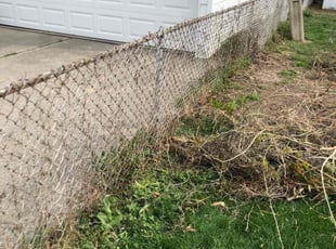 Lupe S.'s Cleanups service result