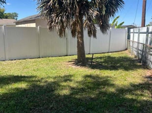 Leaf Removal by Daniel Gonzalez for Laura R. in Lakeland, FL