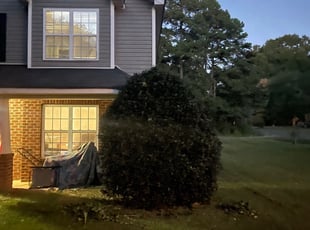 Bush Trimming by Austin Boozer for Shay P. in Charlotte, NC