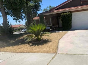 Gerrell S.'s Grass Cutting service result