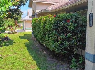 Bush Trimming by Conard Hendrickson for Nick K. in Melbourne, FL