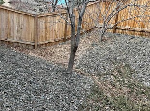 Weeding by Ray Schmidt for Cheryl L. in Reno, NV