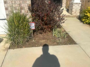 Weeding by Travis Frederickson for Justin D. in Bellview, FL