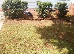Bush Trimming by Xavier Monroe for Shana B. in Charlotte, NC