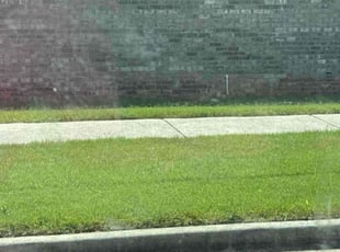 Shawn H.'s Lawn Service service result