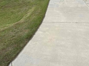 Steven S.'s Lawn Maintenance service result