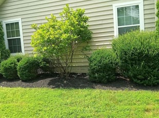 Joyce B.'s Flower Bed Weeding service result