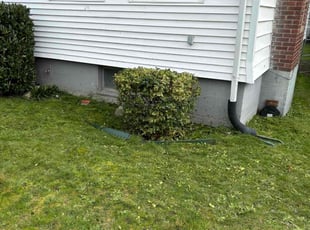 Bush Trimming by Mike Davis for Tyler U. in Tacoma, WA