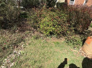 Leaf Removal by Marcellus Williams for Tesfay W. in Silver Spring, MD