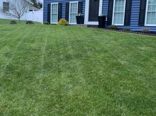 Deborah L.'s Lawn Mowing Service service result