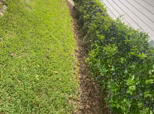 Leah M.'s Cleanups service result