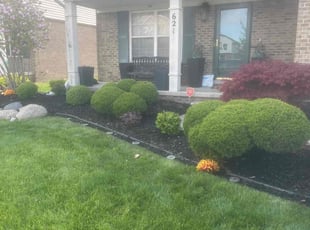 Mulching by Brandon Fountain for Wendie L. in Detroit, MI