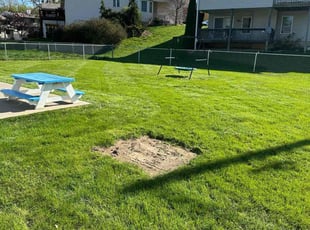 Trevor G.'s Lawn Mowing service result