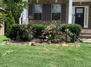 Bush Trimming by John Dollar for Michelle P. in Dallas, GA