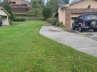 Monica P.'s Lawn Mowing Service service result