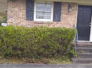 Bush Trimming by Waymond Washington for Thanh V. in Summerville, SC