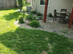 Bush Trimming by Ron Sullivan for Liz C. in Omaha, NE