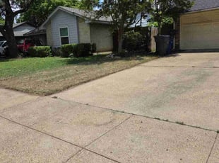 Cleanups by Isaiah Vega for Audrey S. in Dallas, TX