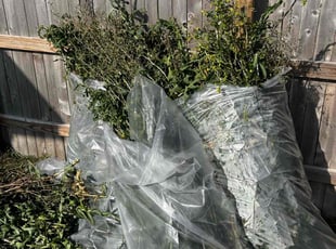 Cleanups by Fredrick Miller for Jonathan E. in San Antonio, TX
