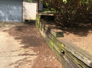Cleanups by Georgianne Gotko for Melissa Z. in Fairlawn, OH