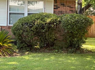 Bush Trimming by Eric Thomas Sr for Randall V. in Pensacola, FL
