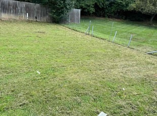 Cleanups by Erica Smedley for Jai b. in Charlotte, NC