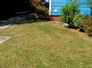 Cleanups by Peter Dean for Ann T. in Durham, NC