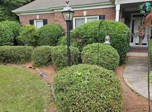 Bush Trimming by Henry Wilson for Patricia K. in Mableton, GA