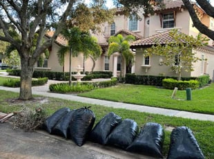 Cleanups by Hophni Casimir for Sam E. in Windermere, FL